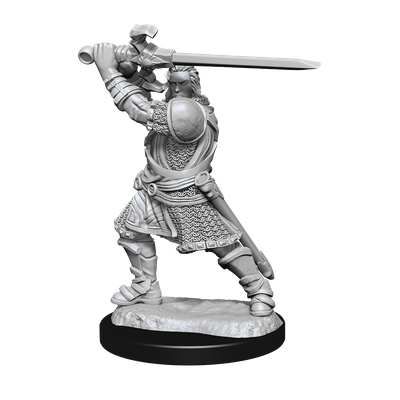 Nolzur&#39;s Marvelous Miniatures: Human Paladin Male (2021)