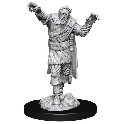 Nolzur&#39;s Marvelous Miniatures: Scarecrow &amp; Stone Cursed