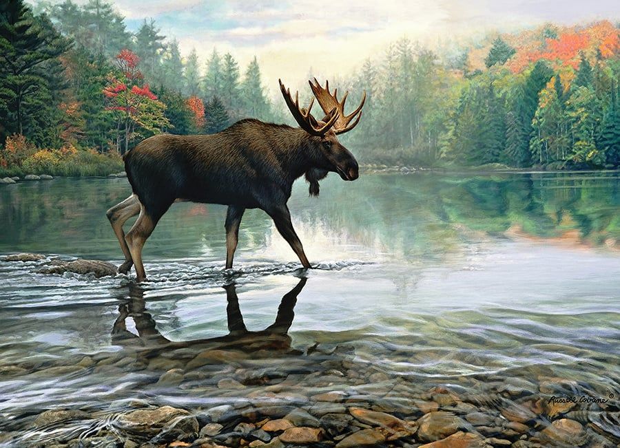 1000 pcs - Moose Crossing