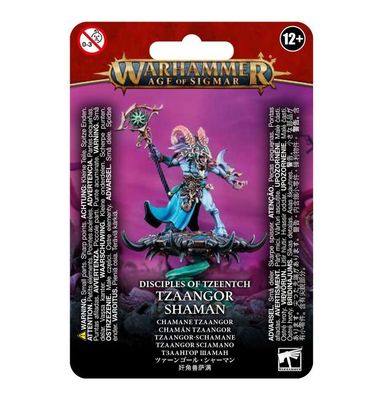 Warhammer Age of Sigmar: Disciples of Tzeentch - Tzaangor Shaman