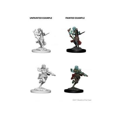 Nolzur&#39;s Marvelous Miniatures: Air Genasi Rogue