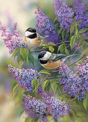 1000 pcs - Chickadees and Lilacs