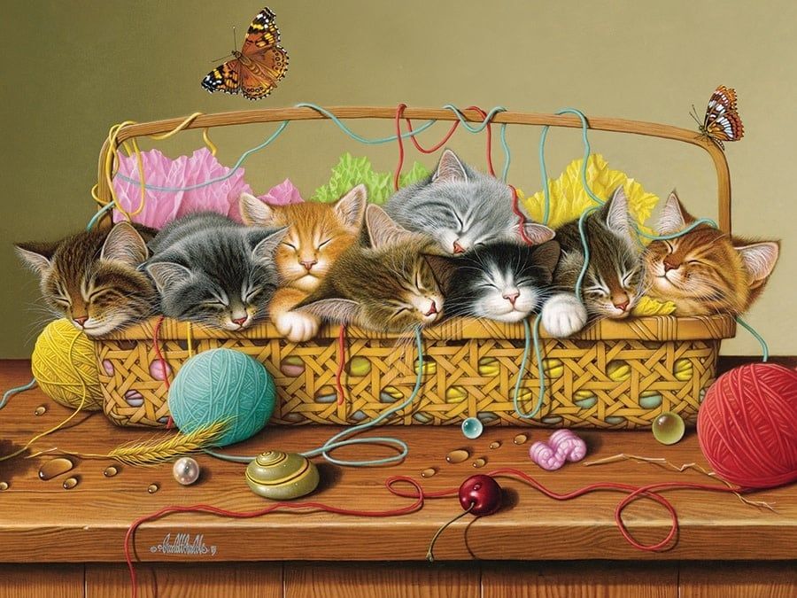 350 pcs - Basket Case (Family Puzzle)