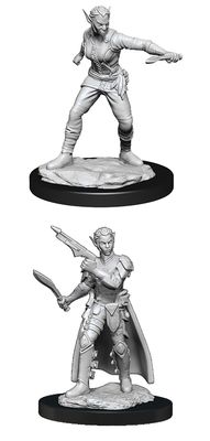 Nolzur&#39;s Marvelous Miniatures: Shifter Rogue Female