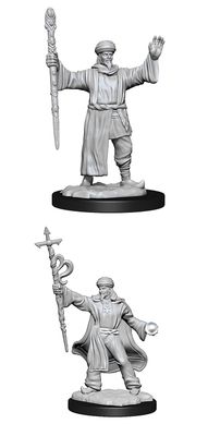 Nolzur&#39;s Marvelous Miniatures: Human Wizard Male (2023)