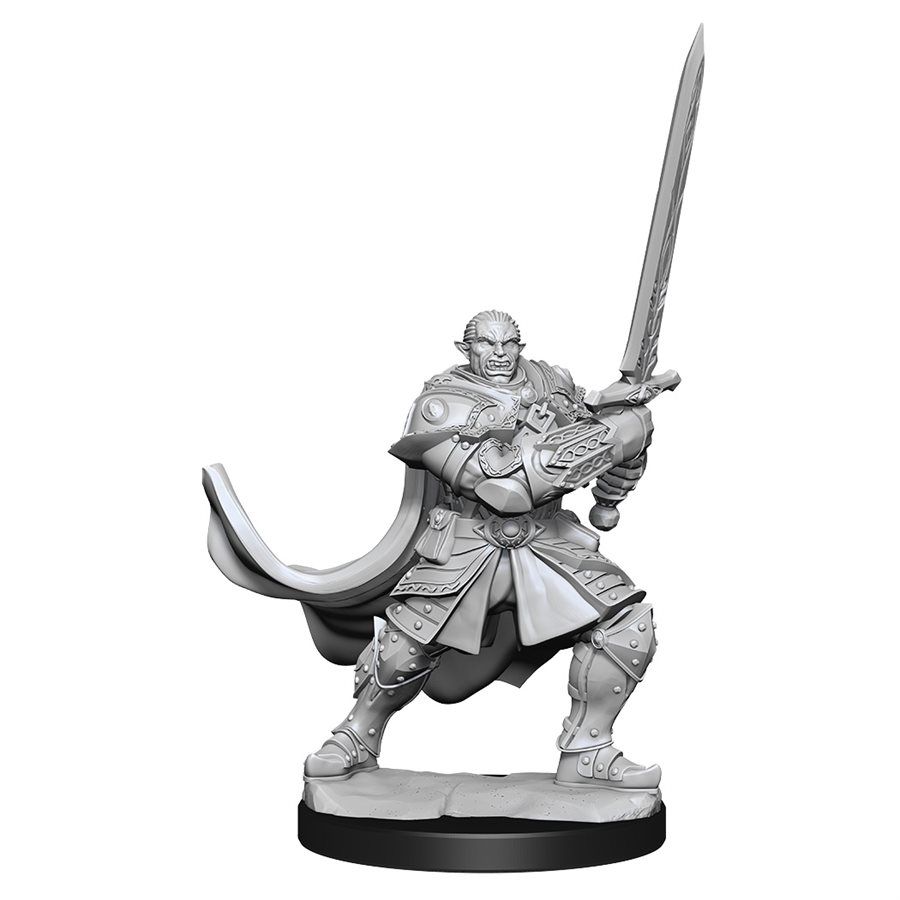 Nolzur&#39;s Marvelous Miniatures: Half-Orc Paladin Male