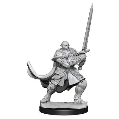 Nolzur&#39;s Marvelous Miniatures: Half-Orc Paladin Male