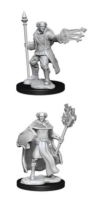 Nolzur&#39;s Marvelous Miniatures: Human Multi-Class Cleric Wizard Male