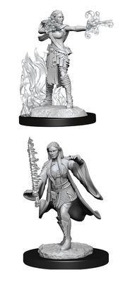 Nolzur&#39;s Marvelous Miniatures: Elf Multi-Class Warlock Sorcerer