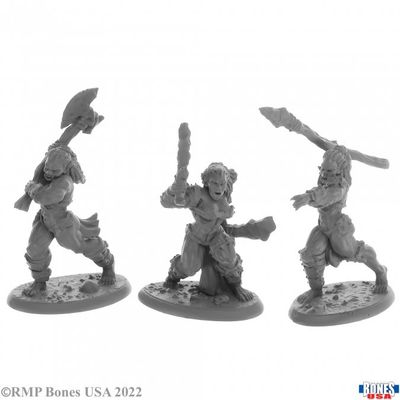 Bones USA: Jade Fire Warriors (3)