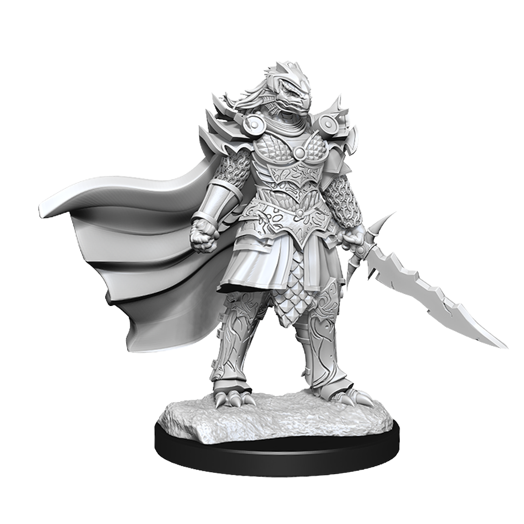 Nolzur&#39;s Marvelous Miniatures: Dragonborn Fighter Female (2023)