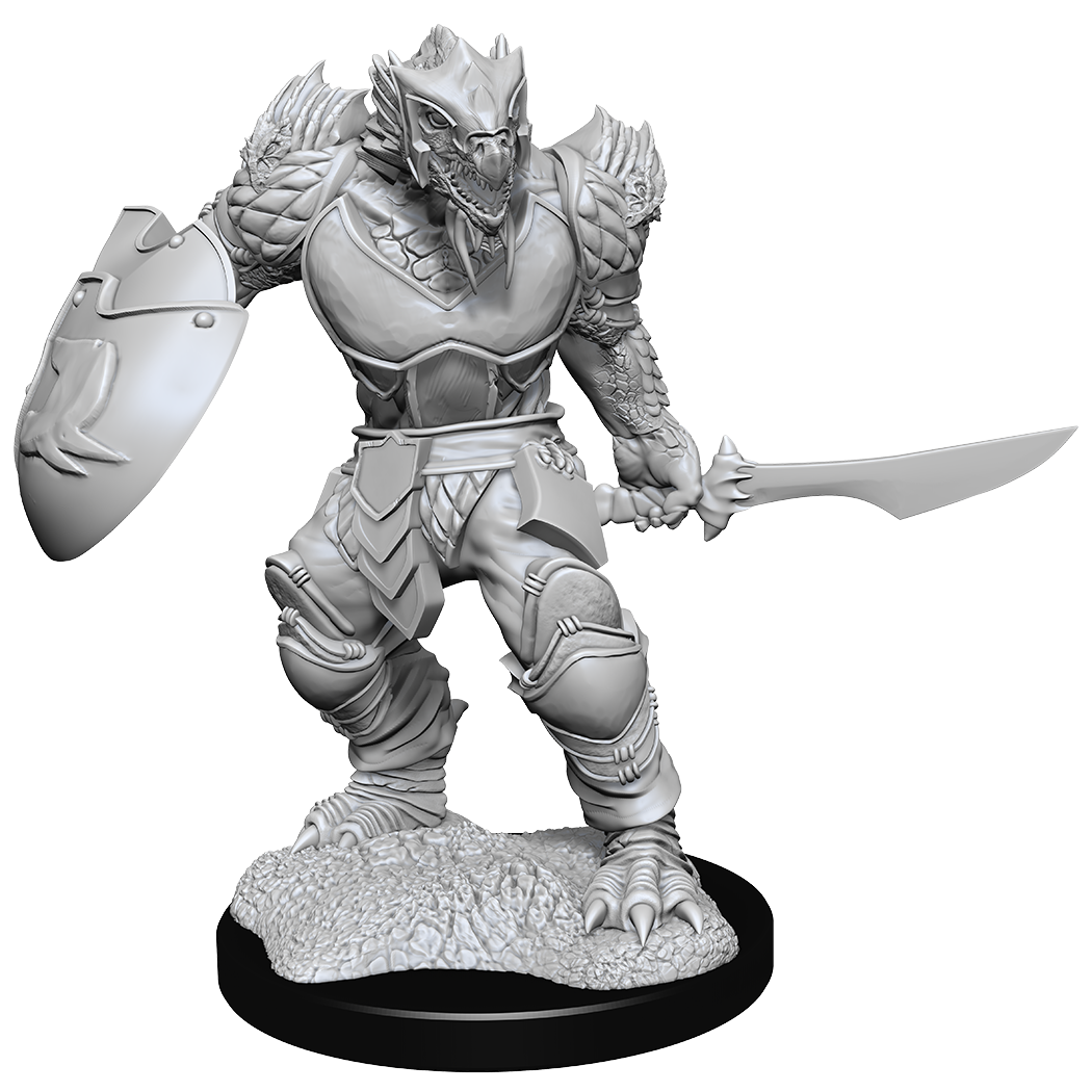 Nolzur&#39;s Marvelous Miniatures: Dragonborn Fighter (Male)
