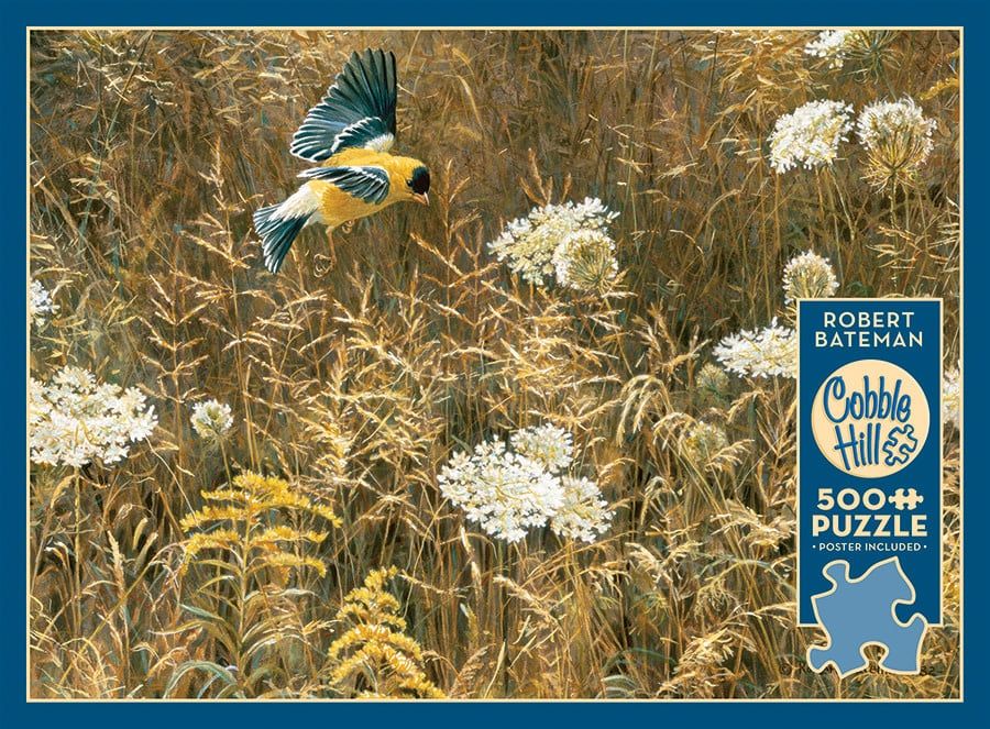 500 pcs - Queen Anne&#39;s Lace &amp; American Goldfin