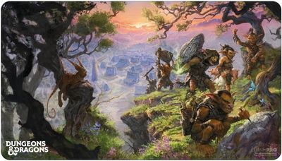 Playmat - Dungeons &amp; Dragons: Phandelver Standard Cover