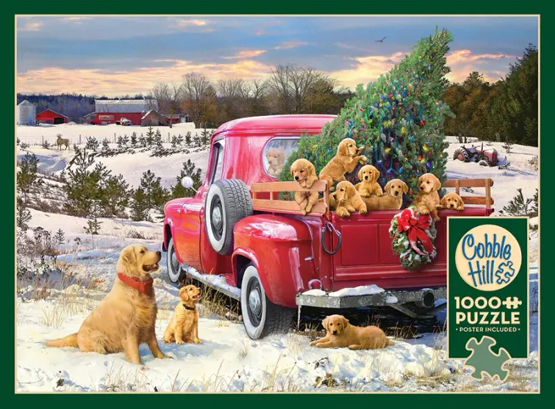 1000 pcs - Family Outing