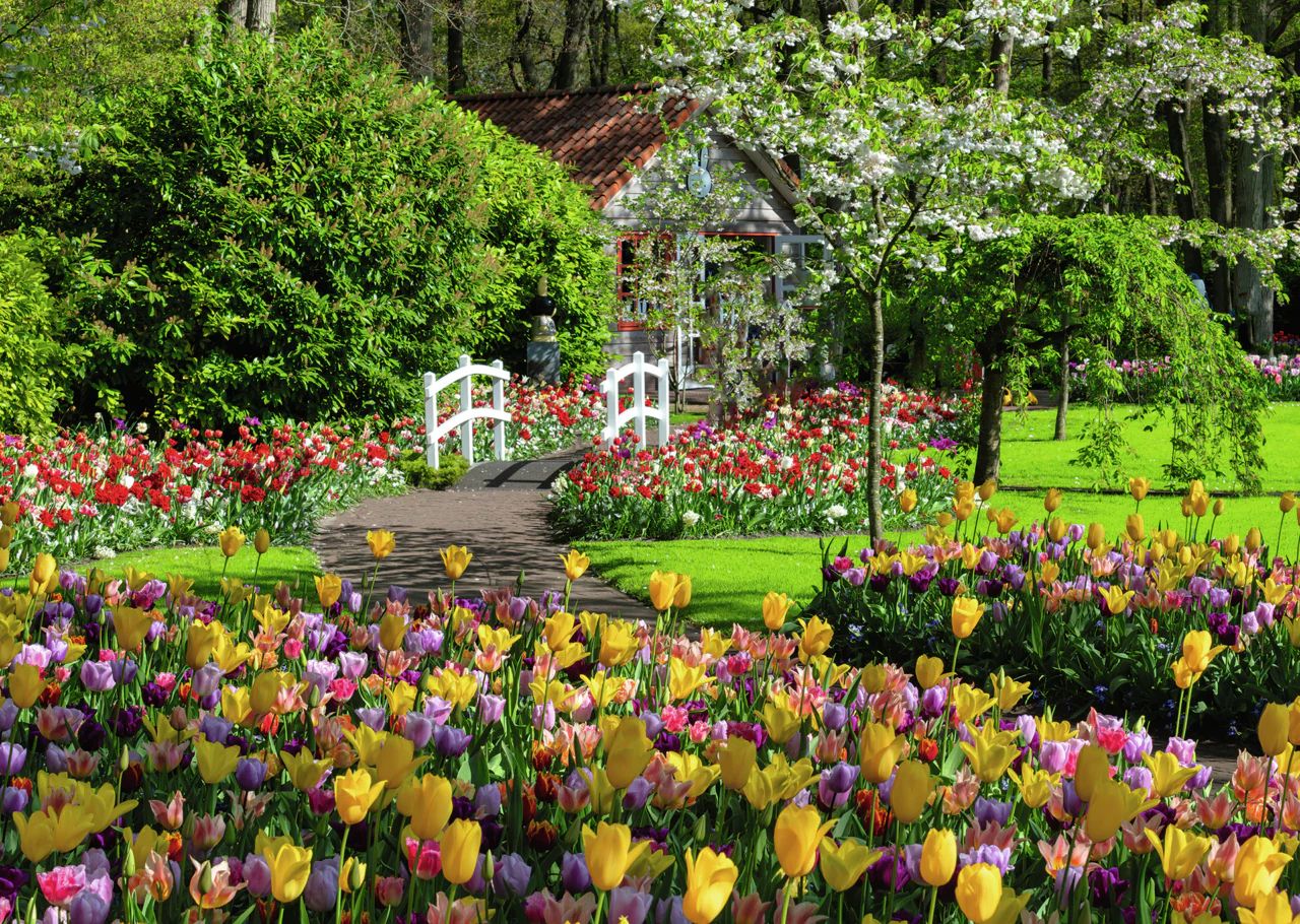 1000 pcs - Keukenhof Gardens Netherlands