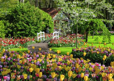 1000 pcs - Keukenhof Gardens Netherlands