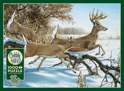 1000 pcs - Breaking Cover