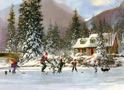 35 pcs - Hockey Pond (Tray Puzzle)