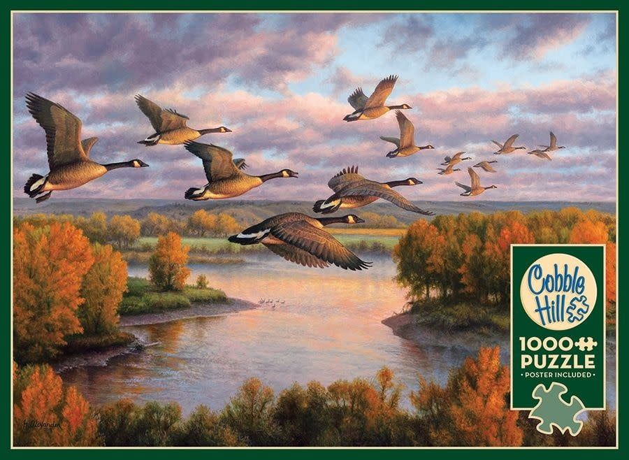 1000 pcs - Migration