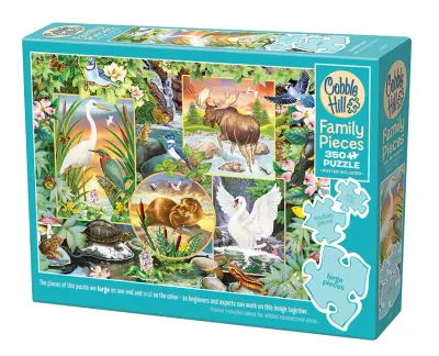 350 pcs - River Magic (Family Puzzle)