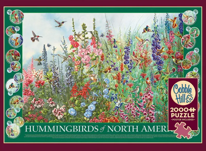 2000 pcs - Hummingbirds of North America