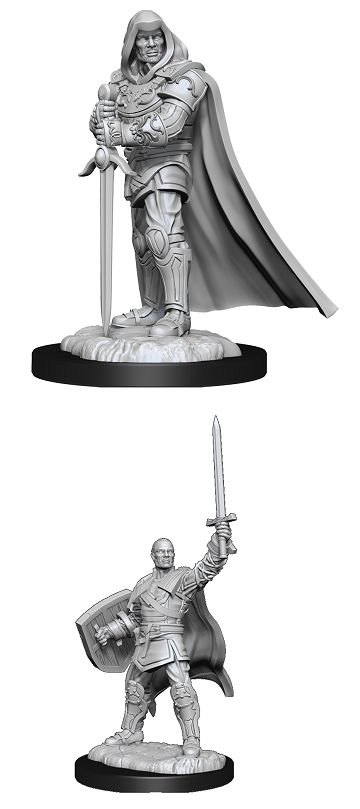 Nolzur&#39;s Marvelous Miniatures: Human Paladin Male (2025)