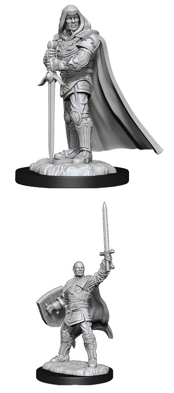 Nolzur&#39;s Marvelous Miniatures: Human Paladin Male (2025)