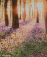 Playmat - Earth: 6th Player Tableau Mat