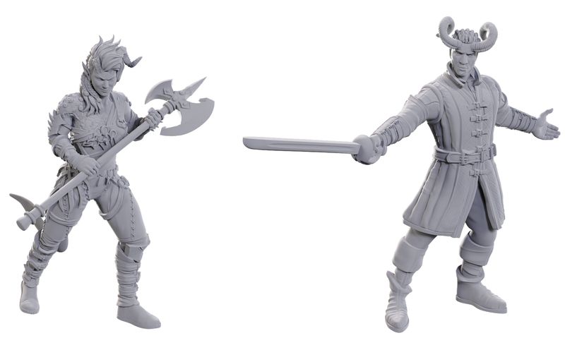 Special Edition Baldur&#39;s Gate 3 Miniatures: Wyll &amp; Karlach