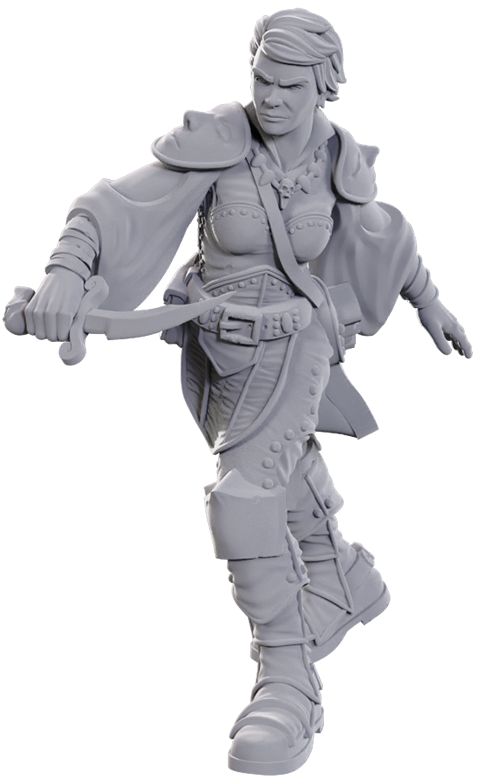 Nolzur&#39;s Marvelous Miniatures: Swashbuckler
