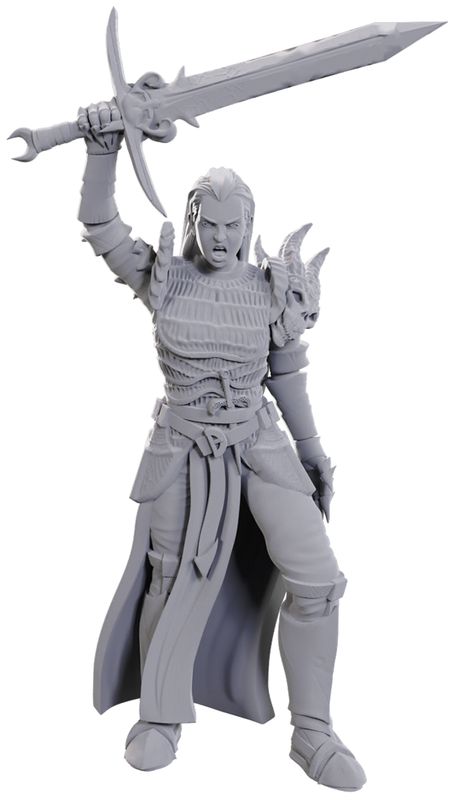 Nolzur&#39;s Marvelous Miniatures: Blackguard