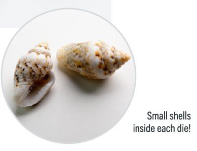 7-Piece RPG Dice Set - Embraced Summer Time