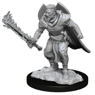 Pathfinder Deep Cuts Miniatures: Human Champion Male