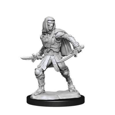 Nolzur's Marvelous Miniatures: Warforged Rogue