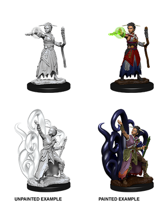 Nolzur's Marvelous Miniatures: Human Warlock Female