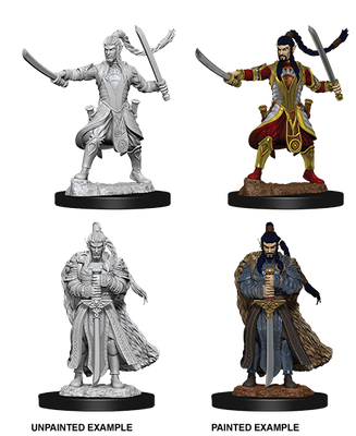 Nolzur's Marvelous Miniatures: Elf Paladin Male