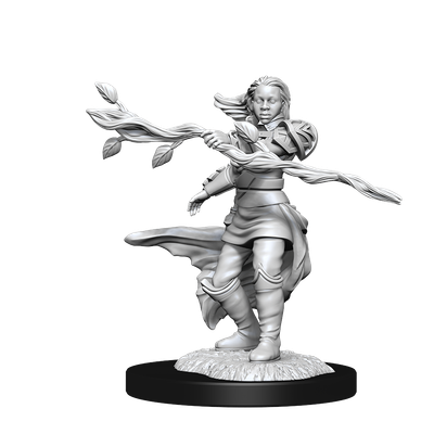 Nolzur's Marvelous Miniatures: Human Druid Female (2021)