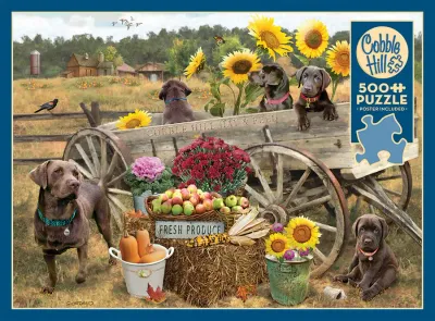 500 pcs - Choc Wagon