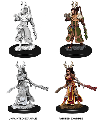 Nolzur's Marvelous Miniatures: Human Druid Female (2019)