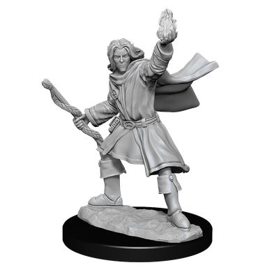 Pathfinder Deep Cuts Miniatures: Elf Sorcerer Male (2021)
