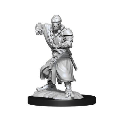 Nolzur's Marvelous Miniatures: Warforged Monk