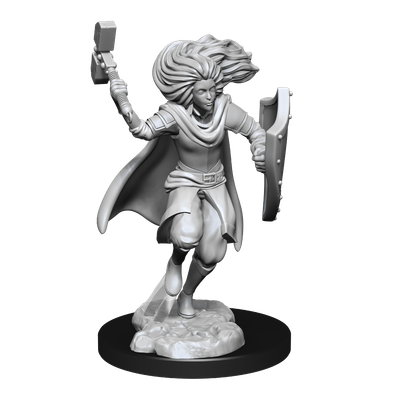 Nolzur's Marvelous Miniatures: Changeling Cleric