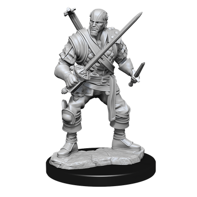 Nolzur's Marvelous Miniatures: Human Bard Male (2021)