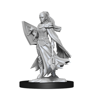 Nolzur's Marvelous Miniatures: Kalashtar Cleric Female