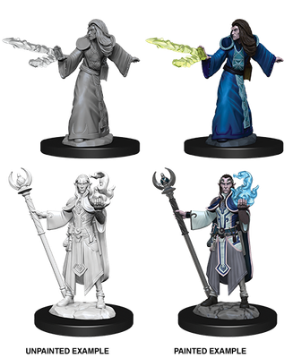 Wizkids Primed Miniatures - Hero - Elf Wizard Male (73709)