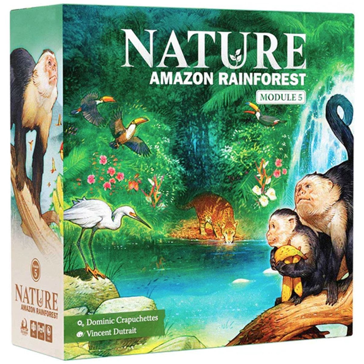 Nature - Module 5: Rainforest