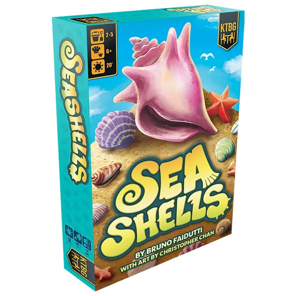 Seashells