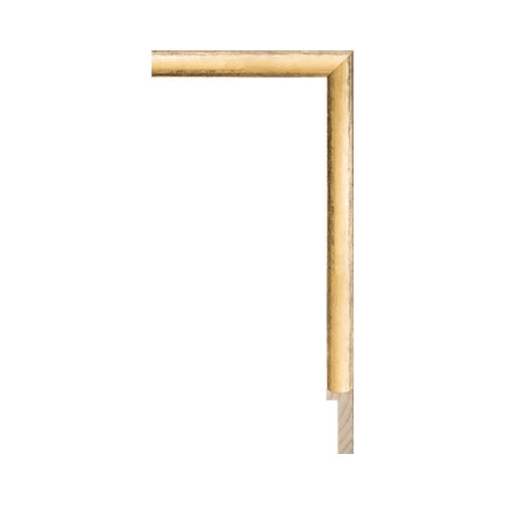 Larson-Juhl #248150