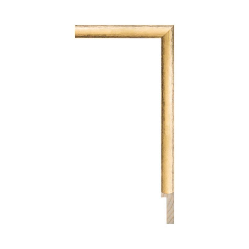 Larson-Juhl #248150